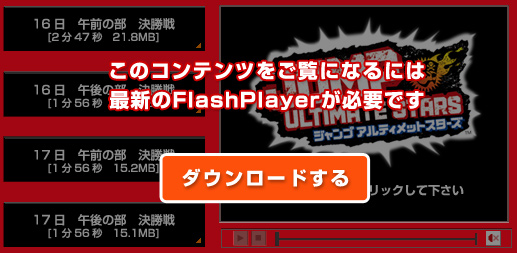 FlashPlayer_E[h