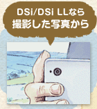 DSi/DSi LLȂBeʐ^
