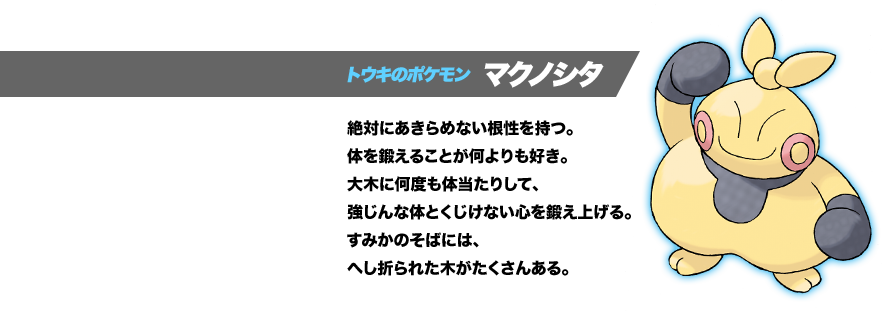 トウキのポケモン マクノシタ。絶対にあきらめない根性を持つ。体を鍛えることが何よりも好き。大木に何度も体当たりして、強じんな体とくじけない心を鍛え上げる。すみかのそばには、へし折られた木がたくさんある。