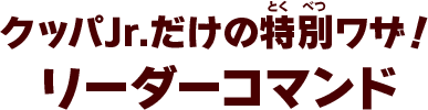 クッパJr.だけの特別ワザ！リーダーコマンド