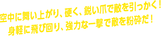 空中に舞い上がり、硬く、鋭い爪で敵を引っかく！ 身軽に飛び回り、強力な一撃で敵を粉砕だ！