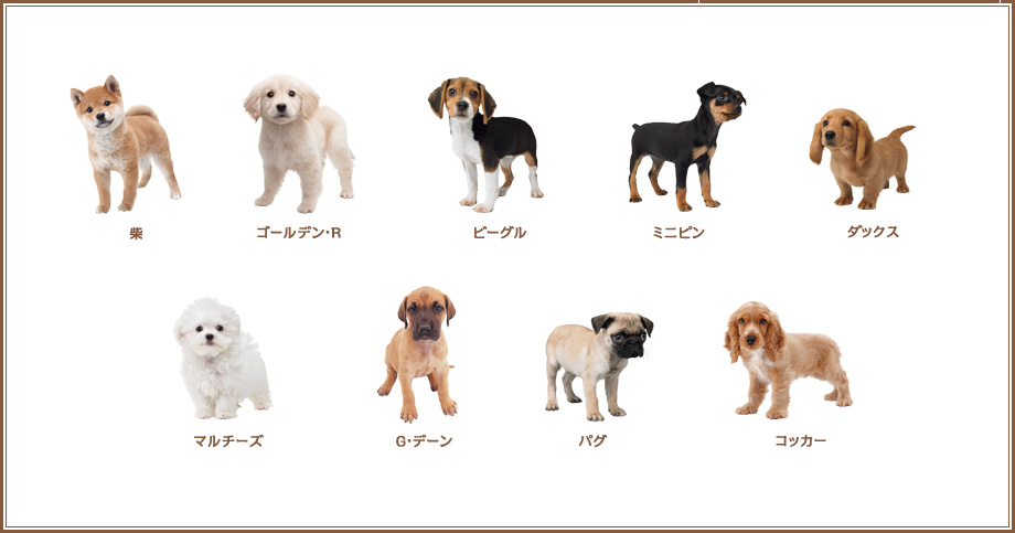 Nintendogs Cats 登場する子犬と子猫