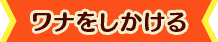 ワナをしかける