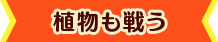 植物も戦う