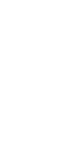 アルムとセリカ。幼少を共に過ごし、今では遠く離れたふたりだったが、不思議なことに、その手には同じ痣（あざ）が刻まれていた。