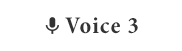 Voice3