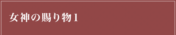 女神の賜り物1