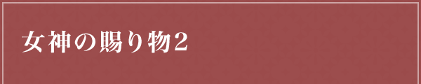 女神の賜り物2