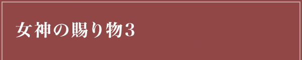 女神の賜り物3