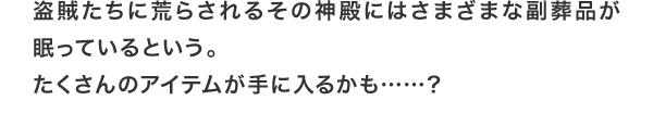 盗賊たちに荒らされるその神殿にはさまざまな副葬品が眠っているという。たくさんのアイテムが手に入るかも……？