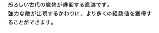 恐ろしい古代の魔物が徘徊する遺跡です。強力な敵が出現するかわりに、より多くの経験値を獲得することができます。