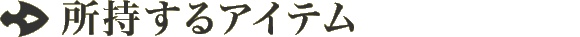 所持するアイテム