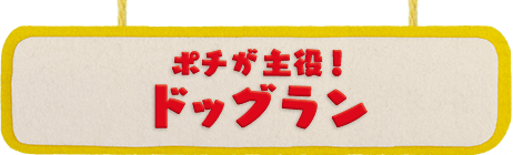 ポチが主役! ドッグラン