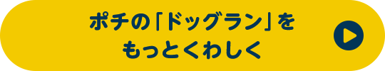 ポチの「ドッグラン」をもっとくわしく