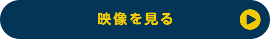 映像を見る