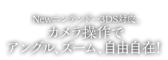 Newjeh[3DSΉAJŃAOAY[AR݁I