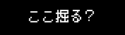 ここ掘る？