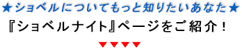 ★ショベルについてもっと知りたいあなた★ 『ショベルナイト』ページをご紹介！
