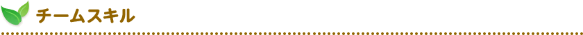 チームスキル