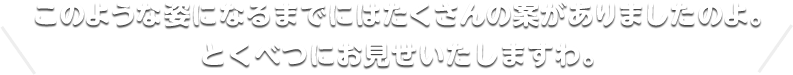 このような姿になるまでにはたくさんの案がありましたのよ。とくべつにお見せいたしますわ。