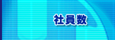 社員数