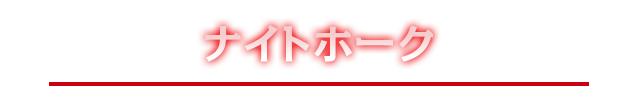 ナイトホーク