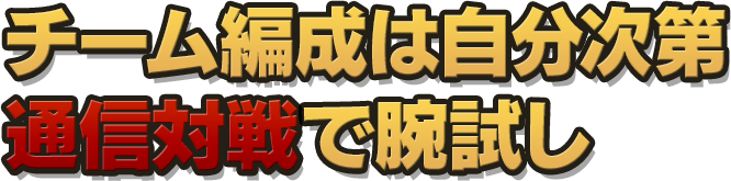 チーム編成は自分次第通信対戦で腕試し