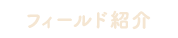 フィールド紹介