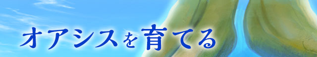 オアシスを育てる