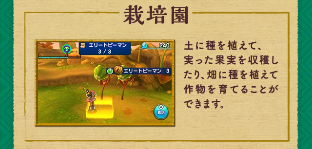 栽培園 土に種を植えて、実った果実を収穫したり、畑に種を植えて作物を育てることができます。