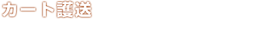 カート護送 パワーセルを積んだカートをカーゴシップまで運搬せよ。