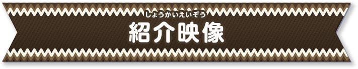 紹介映像