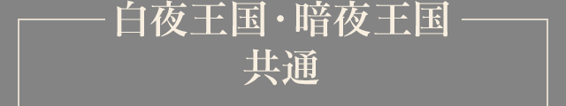 白夜王国・暗夜王国 共通