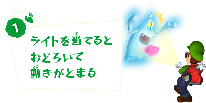 1、ライトを当てるとおどろいて動きがとまる