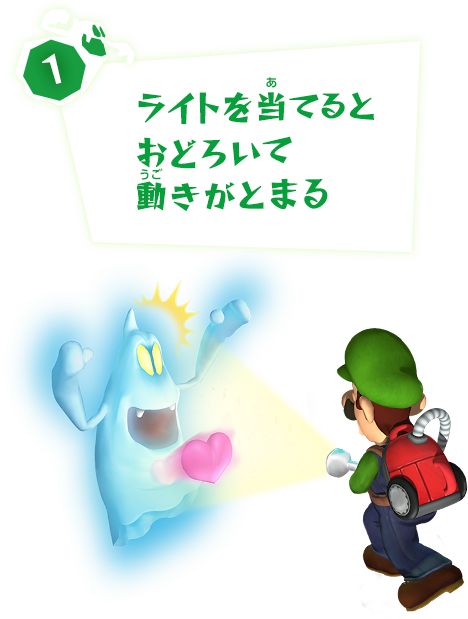 1、ライトを当てるとおどろいて動きがとまる