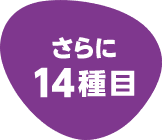 さらに14種目