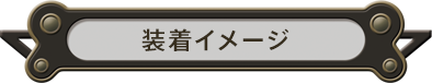 装着イメージ