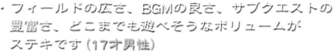 ・フィールドの広さ、BGMの良さ、サブクエストの豊富さ、どこまでも遊べそうなボリュームがステキです(17才男性)