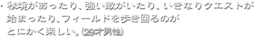 ・秘境があったり、強い敵がいたり、いきなりクエストが始まったり、フィールドを歩き回るのがとにかく楽しい。(26才男性)
