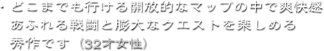 ・どこまでも行ける開放的なマップの中で爽快感あふれる戦闘と膨大なクエストを楽しめる秀作です（32才女性）