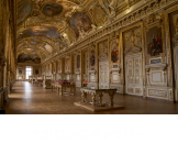 アポロンのギャラリー