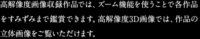 高解像度画像収録作品では、ズーム機能を使うことで各作品をすみずみまで鑑賞できます。高解像度3D画像では、作品の立体画像をご覧いただけます。
