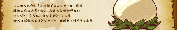 この地方に自生する植物であるマンジュー草は独特の成分を多く含み、非常に栄養価が高い。マンジューたちはこれを主食としており、食べれば食べるほどマンジューが増えて村がうるおう。