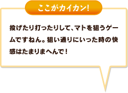 投げたり打ったりして、マトを狙うゲームですねん。狙い通りにいった時の快感はたまりまへんで！