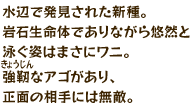 水辺で発見された新種。岩石生命体でありながら悠然と泳ぐ姿はまさにワニ。強靭（きょうじん）なアゴがあり、正面の相手には無敵。