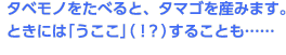 タベモノをたべると、タマゴを産みます。ときには「うここ」（！？）することも……