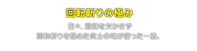 回転斬りの極み　日々、鍛錬を欠かさず回転斬りを極めた武士の魂が宿った一着。