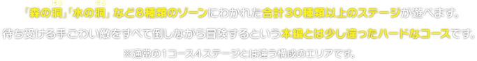「森の洞（ほら）」「水の洞（ほら）」など８種類のゾーンにわかれた合計３０種類以上のステージが遊べます。待ち受ける手ごわい敵をすべて倒しながら冒険するという本編とは少し違ったハードなコースです。　※通常の１コース４ステージとは違う構成のエリアです。