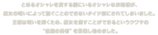 とあるオシャレを愛する国にいるオシャレなお姫様が、魔女の呪いによって脱ぐことのできないタイツ姿にされてしまいました。王様は呪いを解くため、魔女を倒すことができるというウワサの“伝説の勇者”を募集し始めました。