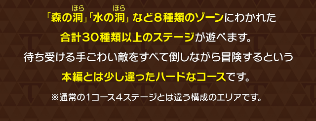 「森の洞（ほら）」「水の洞（ほら）」など８種類のゾーンにわかれた合計３０種類以上のステージが遊べます。待ち受ける手ごわい敵をすべて倒しながら冒険するという本編とは少し違ったハードなコースです。　※通常の１コース４ステージとは違う構成のエリアです。